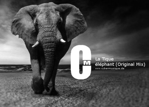 La Tique - Elephant